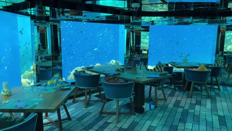 Underwater restaurant in the Maldives Surreal fine dining experience