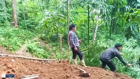 Survival in the wild forest - Girl builds a bamboo house on sloping forest land Part 2
