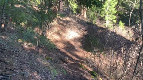 Hiking Deschutes National Forest Above Metolius River – Central Oregon
