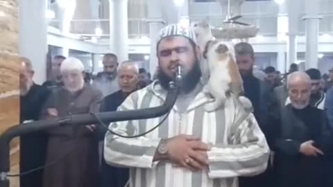 Cat jumps on Imam during qiyam (taraweeh) prayer. #Ramadan