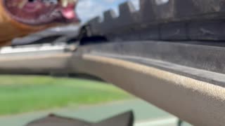 Dog Loves Sticking His Head Out the Sunroof