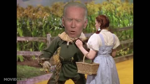 If joy Biden only had a Brain in the Wizard of