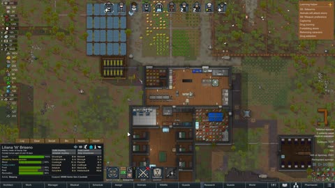 RimWorld Colony