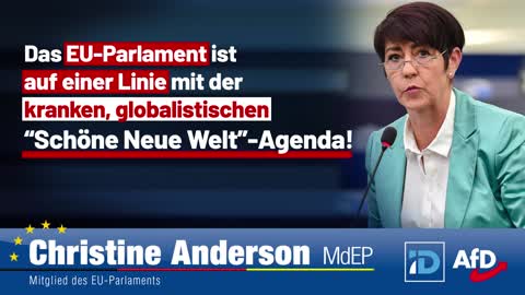 Das EU-Parlament ist auf einer Linie mit der globalistischen “Schöne Neue Welt”-Agenda!