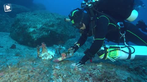 10 Treasures Still Undiscovered in the Deep Ocean
