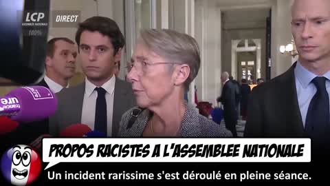 Propos RACISTES à l'Assemblée Nationale Les faits et explications.
