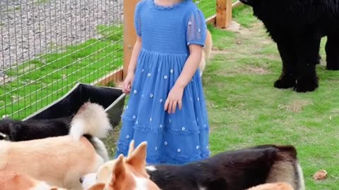 cute baby playing with dog