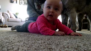 Adorable baby trying to crawl