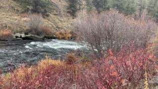 Central Oregon – Steelhead Falls – Wilderness Section