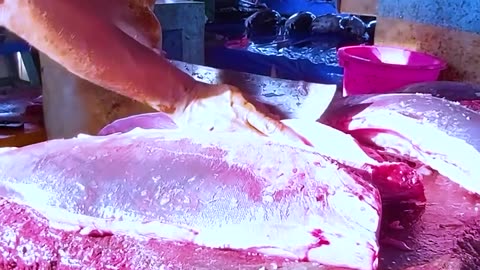 Tuna Fish Best Food In Japan.