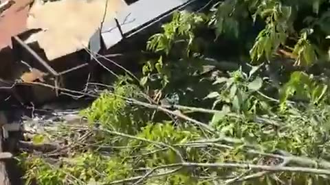 🇺🇦🇷🇺 Ukraine Russia War | Ukrainians Show Destroyed Wooden Armored Vehicle Decoy | RCF
