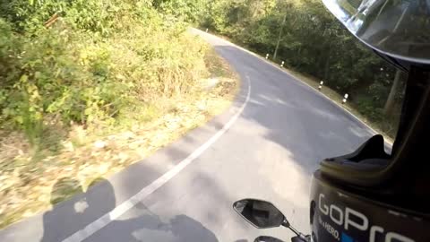 Unsuspecting Biker Crosses Paths With Unexpected Bear
