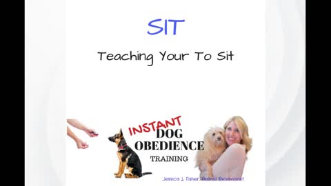 Teach Your Dog to Sit - Force Free Positive Dog Training