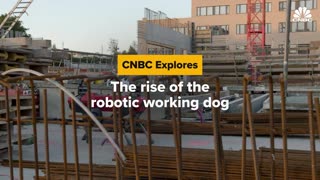 The Rise of the Robotic Working Dogs