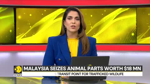 Malaysia seizes illegal animal parts worth $18 million _ International News _ WION