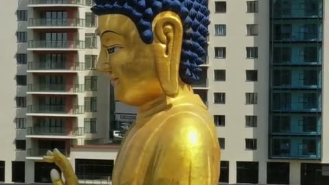 Buddha 2024