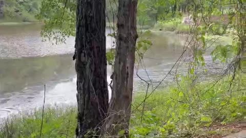 Peaceful lake vibe