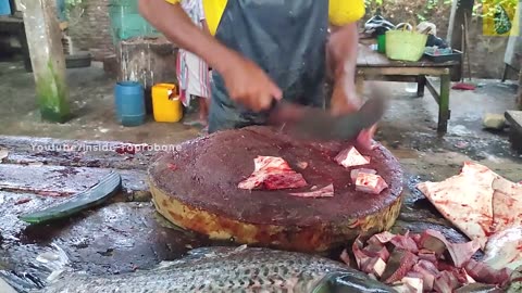 Ray FIsh Cutting Skills Sri Lanka