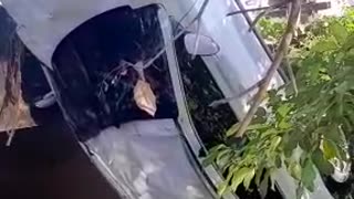 Camioneta cae en una cuneta