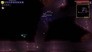 Terraria mod (calamity)