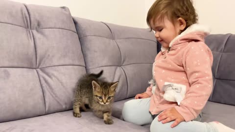 baby meets cat first time