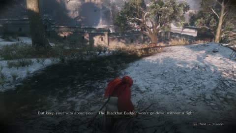 Sekiro Battousai Vs Blazing Bull