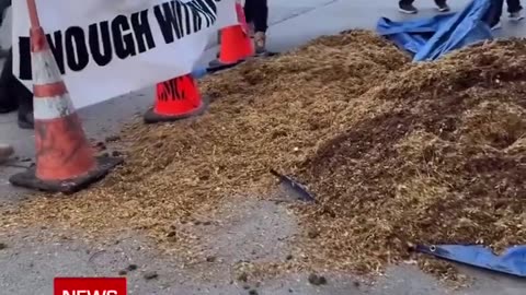 Protesters purportedly DUMP A LOAD of manure in front of Nancy Pelosi’s home in protest..