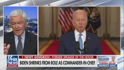 Gingrich: We Are Led By Somebody Who Looks Like a ‘Scared Bunny Rabbit in Danger of Falling Asleep’