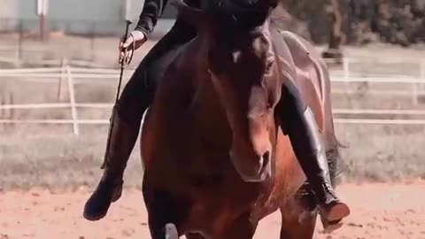 Beautiful girl with horse