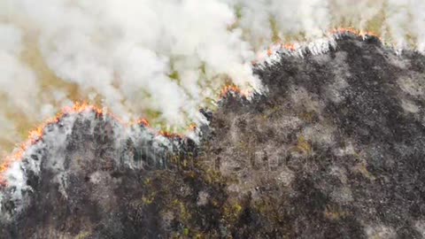 Epic aerial view of smoking wild fire. Large smoke clouds and fire spread. Forest and tropical jungle deforestation. Amazon and siberian wildfires. Dry grass burning. Climate change, ecology, earth