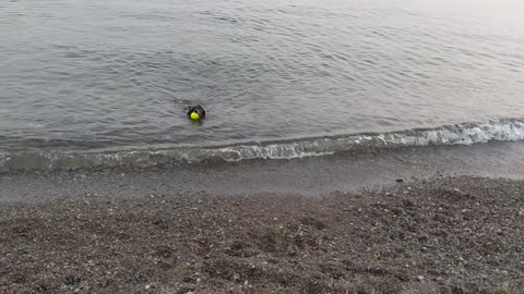 Wiener overcomes her fear of waves