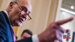 Schumer Told Biden It Would Be Best to End Candidacy