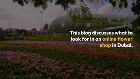 What to Look For in an Online Flower Shop in Dubai