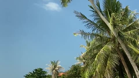 Beautiful beach 🏖️🏖️ view