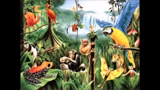TROPICAL JUNGLE: Relaxing Rainforest Sounds