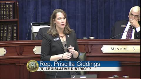 Idaho Representative Priscilla Giddings - Idaho House Ethics Committee Report - 2021