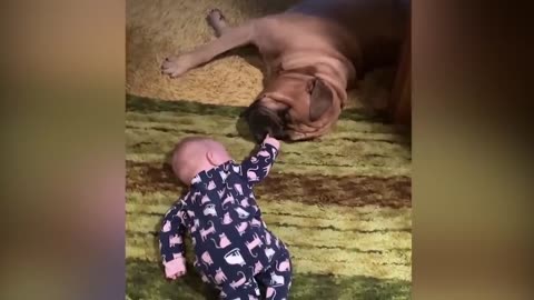 Funniest baby videos