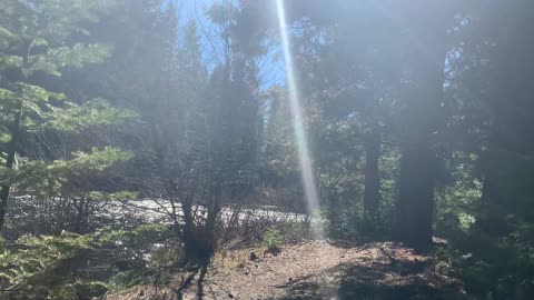 Very Easily Accessible Metolius River – Metolius River National Recreation Area – Central Oregon