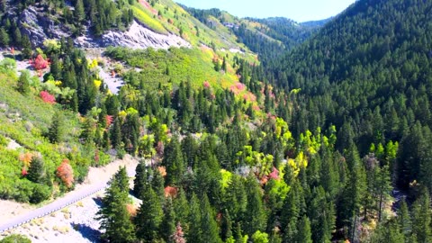 Birds view of nature