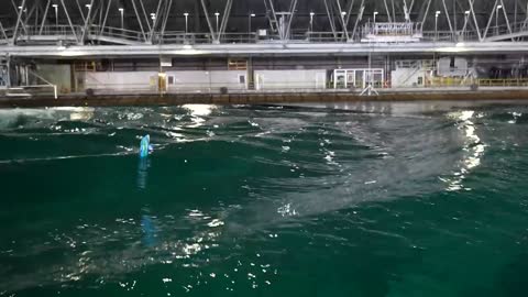 Inside The Navy's Indoor Ocean