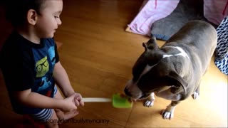 Pequeño niño le da un baño a su perro