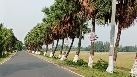 Wonderful street view of Bangladesh