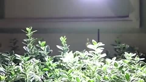 Powerful Solar Light Outdoor Motion Sensor Waterproof Garden LED Solar Lamp Spotlights For Garden Pa