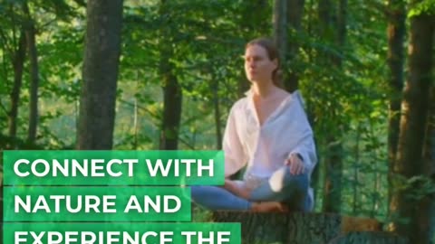 Forest Bathing Reconnect with Nature's Healing Energy