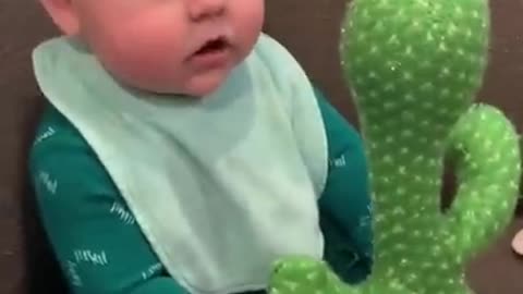 Baby Reacts To Cactus Dancing Funny