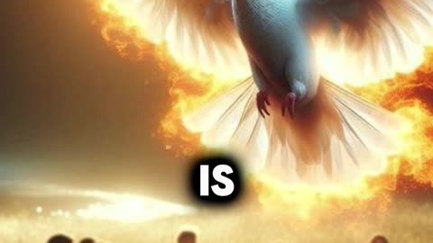 DON'T IGNORE THE HOLY SPIRIT!