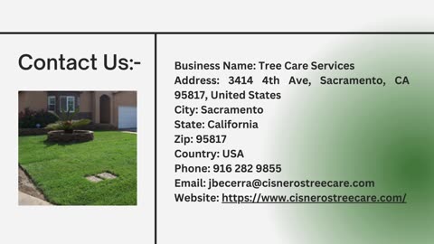 Tree Trimming In Sacramento