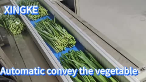 how to vegetable packaging machinery [fast and easy]