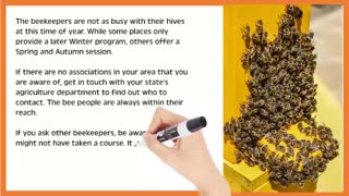Should You Take a Beekeeping Class?
