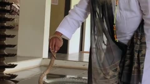Sadguru handles a cobra